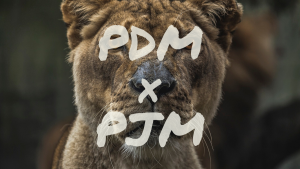 PDM×PJM