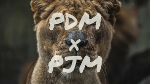PDM×PJM